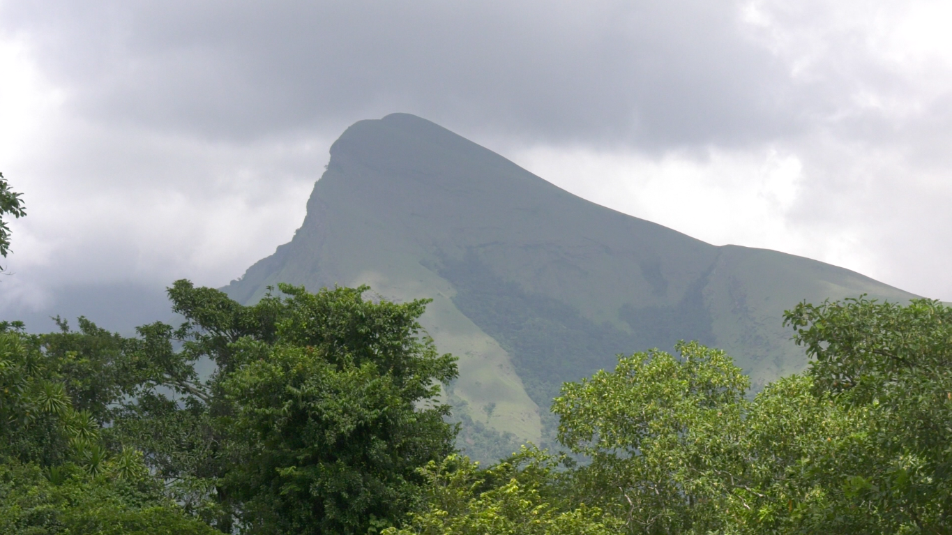 Documentaire : La biodiversité au coeur du mont Nimba